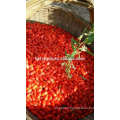 Top Grade Biggest Berry Goji/120pcs/"Ning Qi 5"